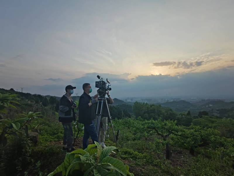 创意破圈！铁西区电商产品宣传视频用故事化叙事引爆流量