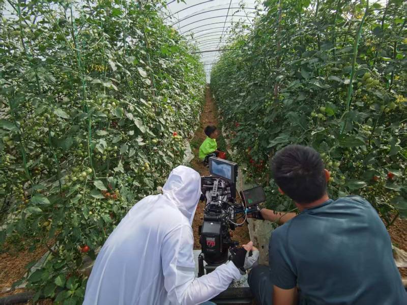 铁西区产品宣传视频拍摄公司进阶指南，助力品牌抢占传播高地